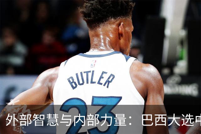 外部智慧与内部力量：巴西大选中的隐喻与启示